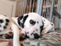 IMG_20250215_132402_web