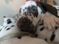 IMG_20250215_132414_web