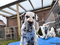 IMG_20250220_155549_web