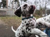 IMG_20250220_155730_web