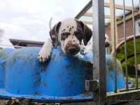 IMG_20250220_155818_1_web