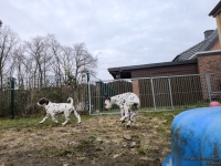 IMG_20250220_155834_web