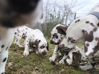 IMG_20250220_155901_1_web