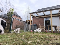 IMG_20250220_160009_1_web