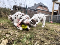 IMG_20250220_160425_web