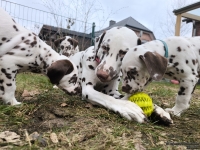 IMG_20250220_160430_1_web