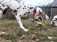 IMG_20250220_160441_1_web