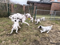 IMG_20250220_160451_web