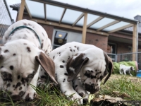 IMG_20250220_160751_web