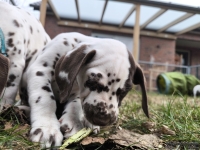 IMG_20250220_160754_web