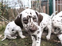 IMG_20250220_160804_web