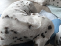 IMG_20250221_091819_web