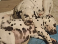 IMG_20250222_002142_web