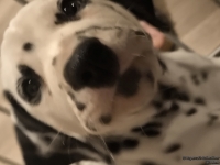 IMG_20250222_002224_web