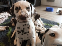 IMG_20250222_105639_web