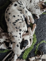 IMG_20250222_160012_web