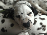 IMG_20250222_160149_web