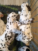 IMG_20250222_170623_web