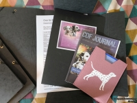 IMG_20250223_144339_web