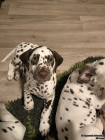 IMG_20250223_231111_web