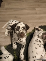 IMG_20250223_231110_web