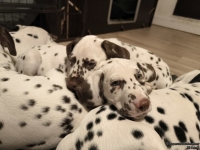 IMG_20250223_231309_web