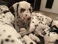 IMG_20250223_231817_web