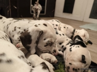 IMG_20250223_231822_web