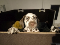 IMG_20250225_200720_web