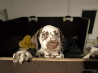 IMG_20250225_200719_web