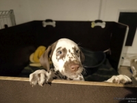 IMG_20250225_200717_web