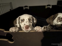 IMG_20250225_200722_web