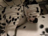 IMG_20250225_215930_web