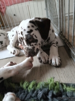 IMG_20250224_145257_web