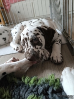 IMG_20250224_145258_web