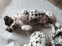 IMG_20250224_145604_web