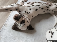 IMG_20250224_145607_web