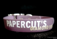 IMG_20250225_103734_web