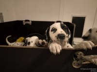 IMG_20250225_200458_web