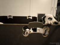 IMG_20250225_200514_web