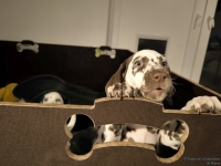 IMG_20250225_200526_web