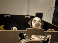 IMG_20250225_200528_web