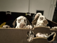 IMG_20250225_200529_web