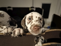 IMG_20250225_200657_web