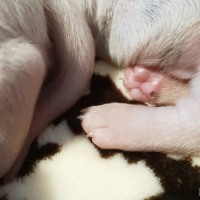 IMG_20211219_103500
