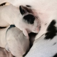 IMG_20211219_105710