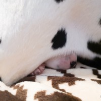 IMG_20211219_110525