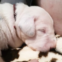 IMG_20211219_111120
