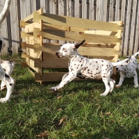 IMG_20220214_155739_1