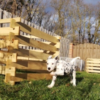 IMG_20220214_155818_1